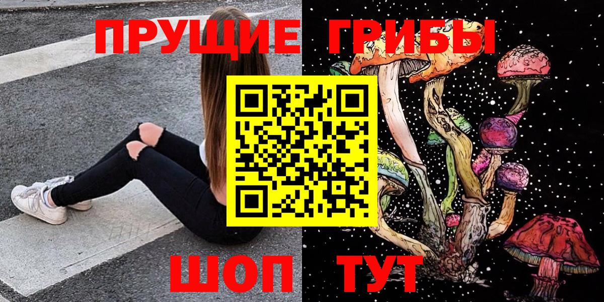 Галлюциногенные грибы Psilocybe  даркнет сайт  Камышин  Вход с VPN 